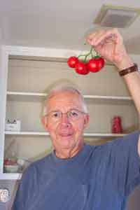 Joe Showing Off Tomatoes